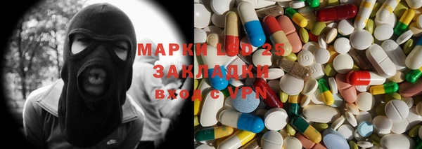 прущий лед Алзамай