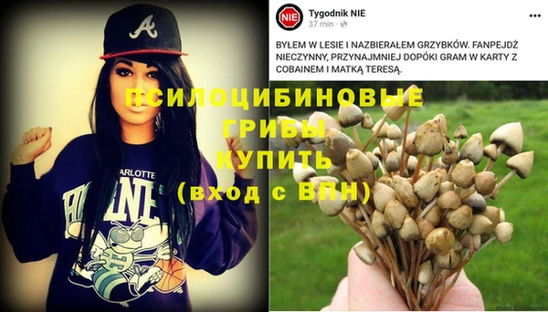 прущий лед Алзамай