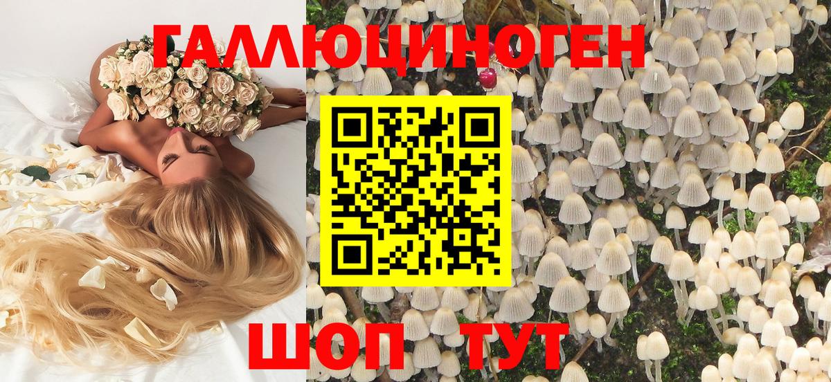 Псилоцибиновые грибы мицелий Алейск